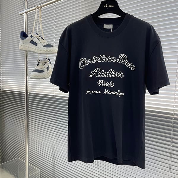 大人気!ディオール Tシャツ 偽物 コットンジャージー シルク 2色 dei02766